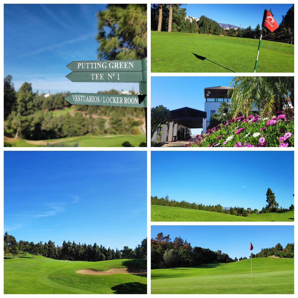 ChaparralGC's tweet image. Good Morning!

Before going back to work, it's time to enjoy a well-deserved holidays! 

August is the best month of the year, play golf and smile with us every day! 

Find the best deals to play with your friends or family here ➡️ open.imaster.golf/en/chaparral #costadelsol #golfoffers