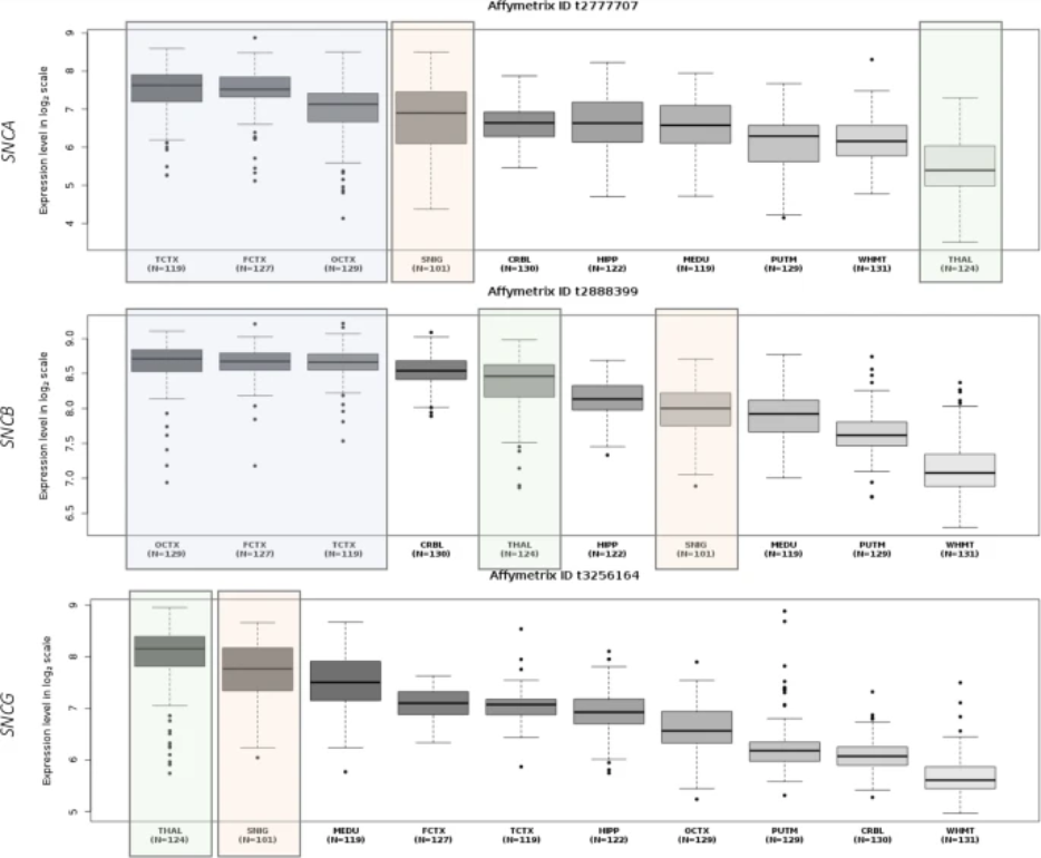 The Science of Parkinson's (@scienceofpd) on Twitter photo A very thorough & useful review of the genetics of synucleins (like #Parkinsons-associated alpha synuclein) in the context of neurodegenerative conditions, from @josetb <a href="/ritajlg/">Rita Guerreiro</a> & <a href="/VAInstitute/">Van Andel Institute (VAI)</a> colleagues
link.springer.com/article/10.100… A very thorough & useful review of the genetics of synucleins (like #Parkinsons-associated alpha synuclein) in the context of neurodegenerative conditions, from @josetb <a href="/ritajlg/">Rita Guerreiro</a> & <a href="/VAInstitute/">Van Andel Institute (VAI)</a> colleagues
link.springer.com/article/10.100…