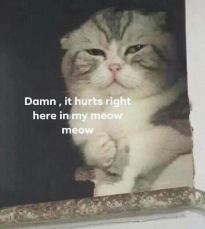 𝘾𝘼𝙄𝙍𝙊 (@cairozx) on Twitter photo 