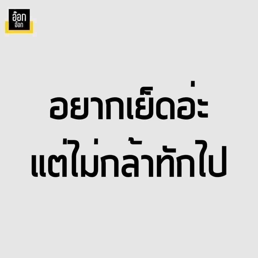 เป็นคนเทาๆ ออกจะเหงาๆ tweet media