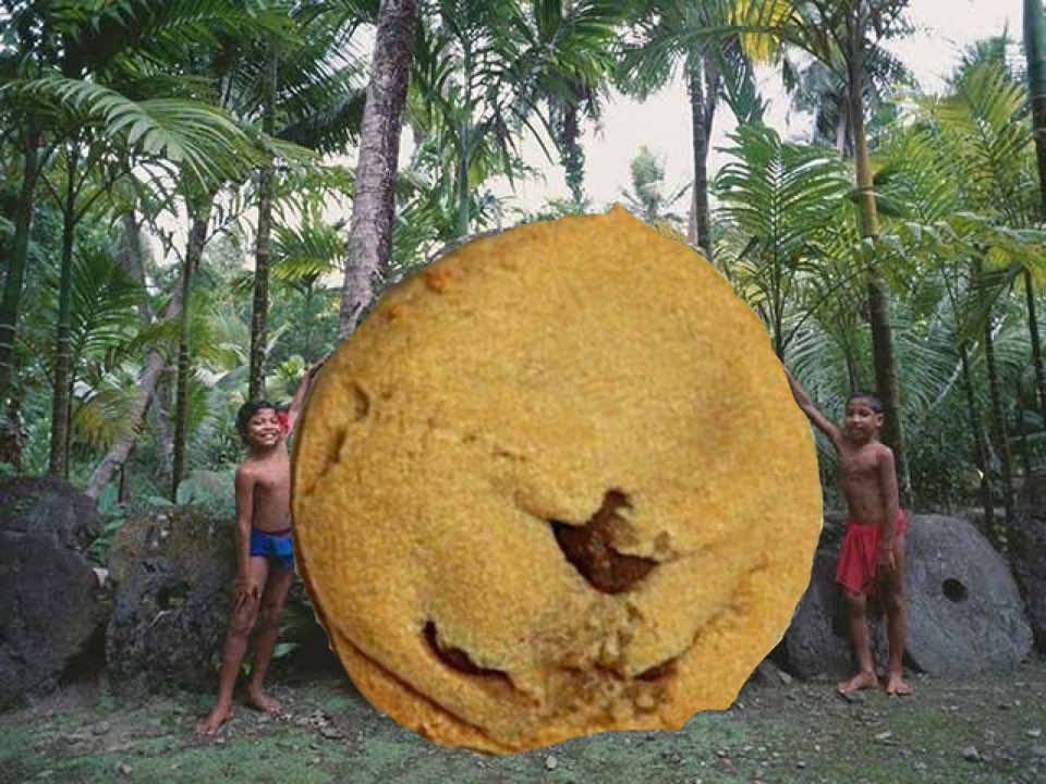 サナ 眼鏡 不二家のカントリーマアムが年々小さくなっているのではないかという事で 発売当初からの大きさを時系列順に比較しました