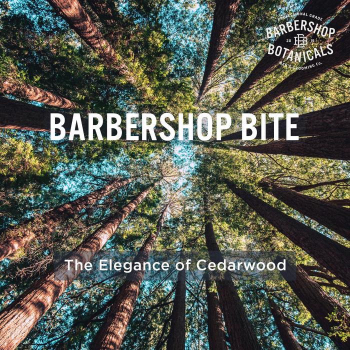 Barbershop Botanicals tweet media