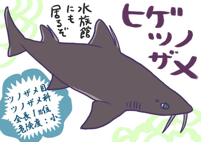 ネコザメのtwitterイラスト検索結果 古い順