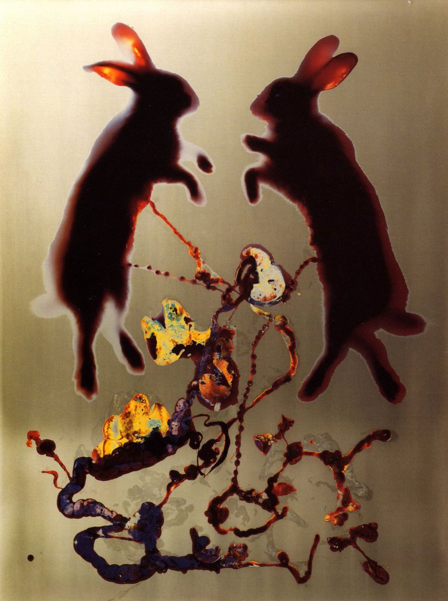 bja_samuel's tweet photo. Adam Fuss “Details of Love”
2 dead and eviscerated rabbits were placed on photosensitised paper and exposed to light. The spectacular colour effect is a result from the chemical interactions between the rabbits' viscera and the printing paper.
#photography #art #adamfuss https://t.co/t1nOczAbFL