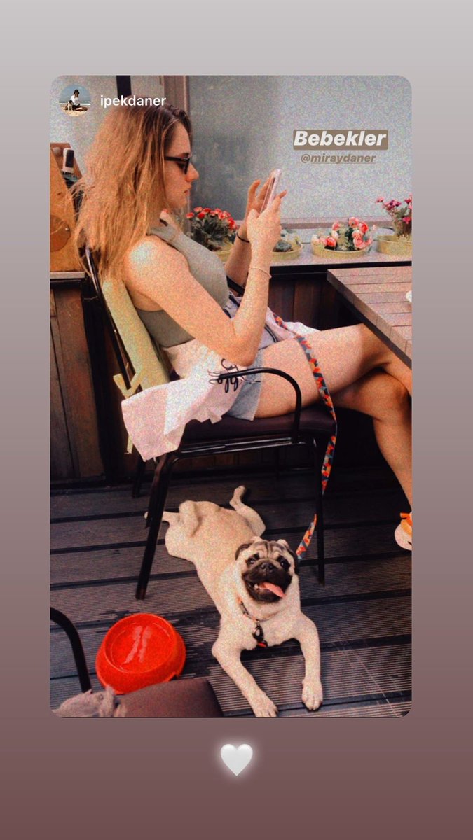 danersource's tweet photo. IG story || August 3, 2020

#MirayDaner https://t.co/03uEA4IjXt