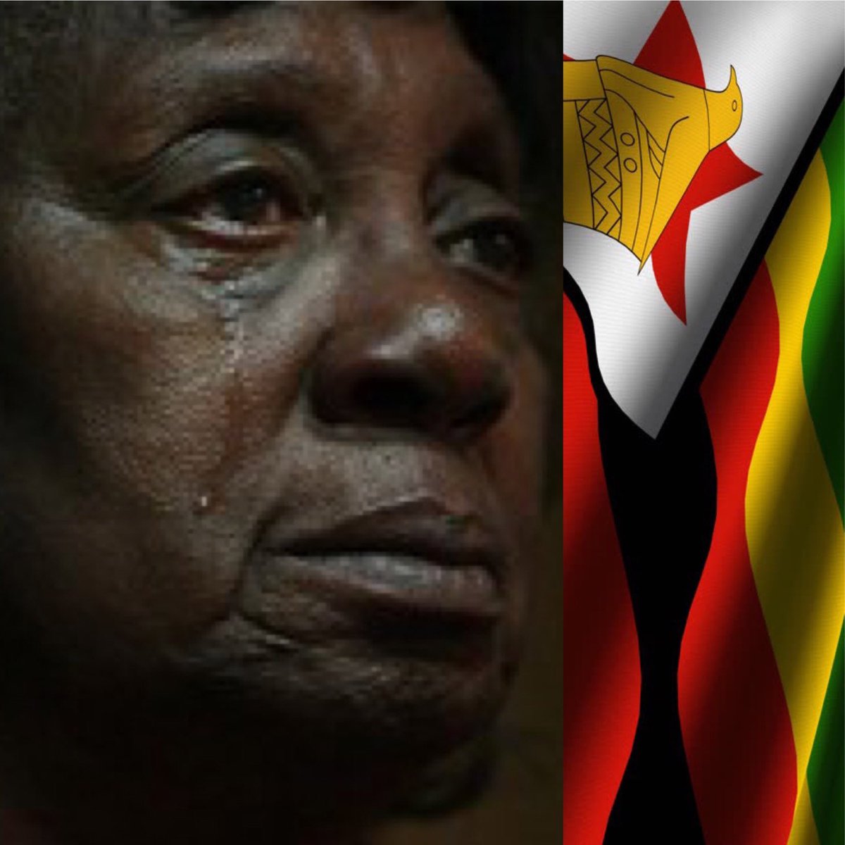 A Taste Of Zimbabwe tweet media