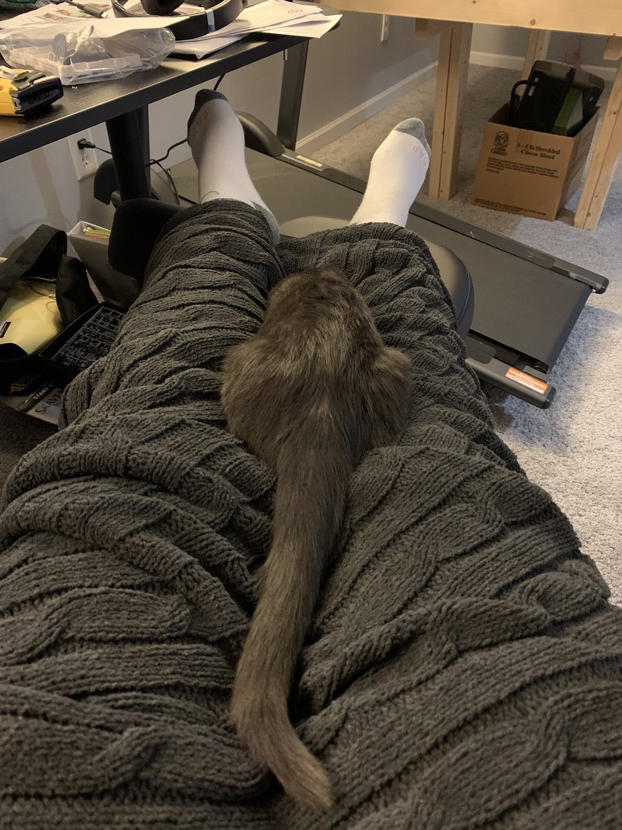 terminality_'s tweet image. 