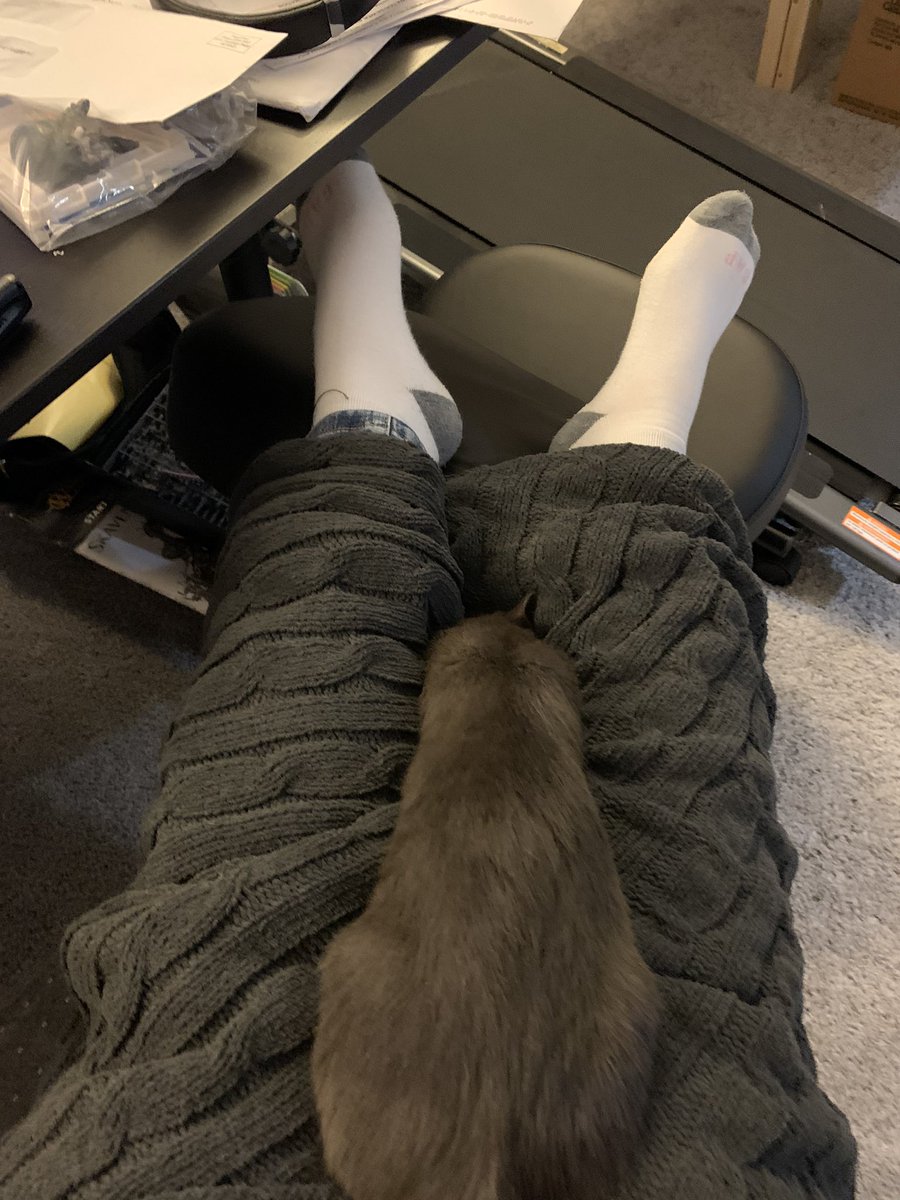 terminality_'s tweet image. 