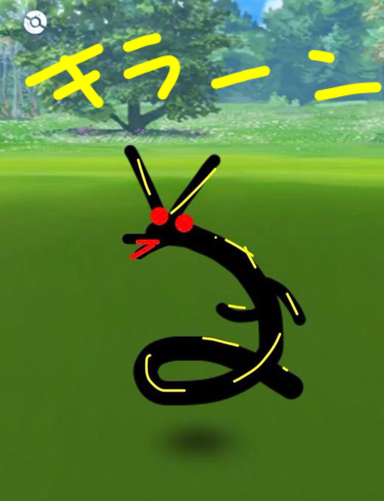 黒いレックウザ Twitter Search Twitter