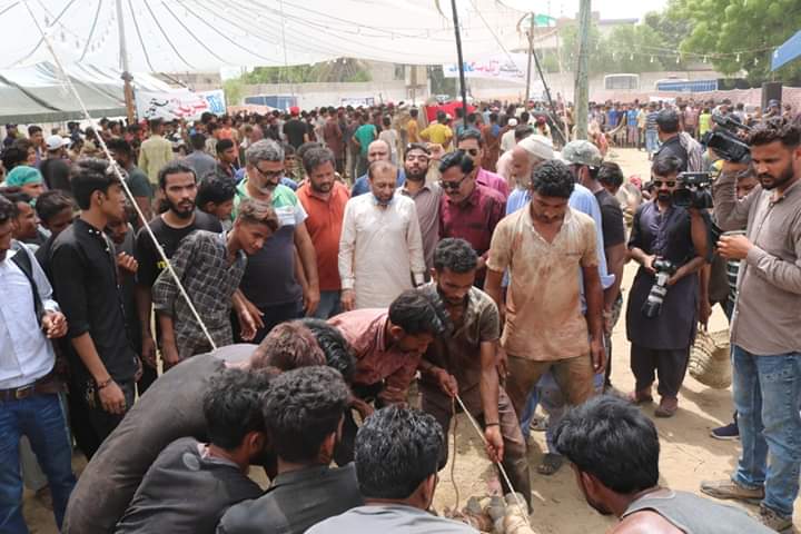ORCMQM's tweet photo. سربراہ تنظیم ایم کیو ایم پاکستان بحالی کمیٹی ڈاکٹر فاروق ستار بھائی نے جے ڈی سی کی جانب سے کی جانے والی اجتماعی قربانی میں شرکت کی https://t.co/wQaDMcblPU
