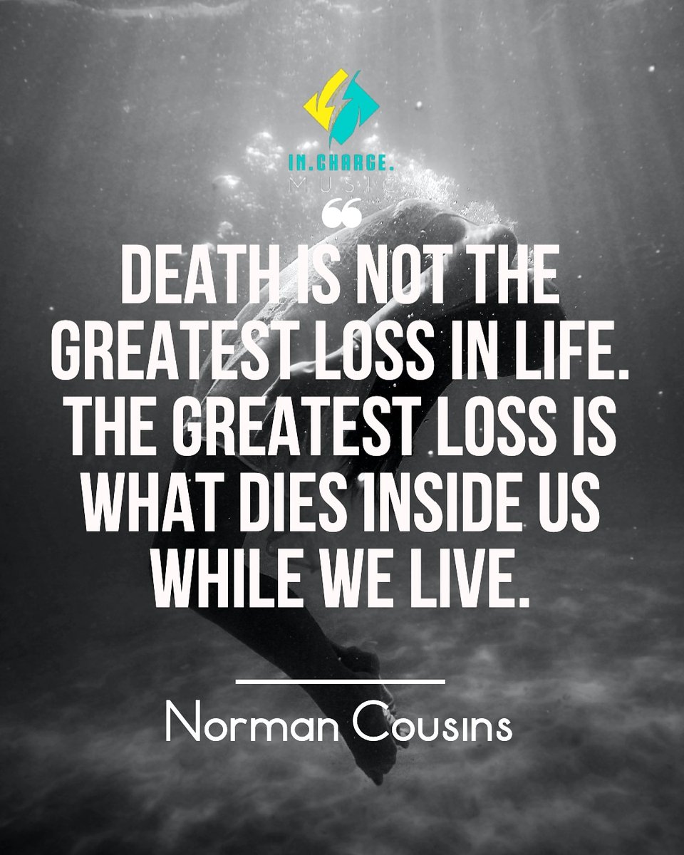 Iason Xexakis tweet media