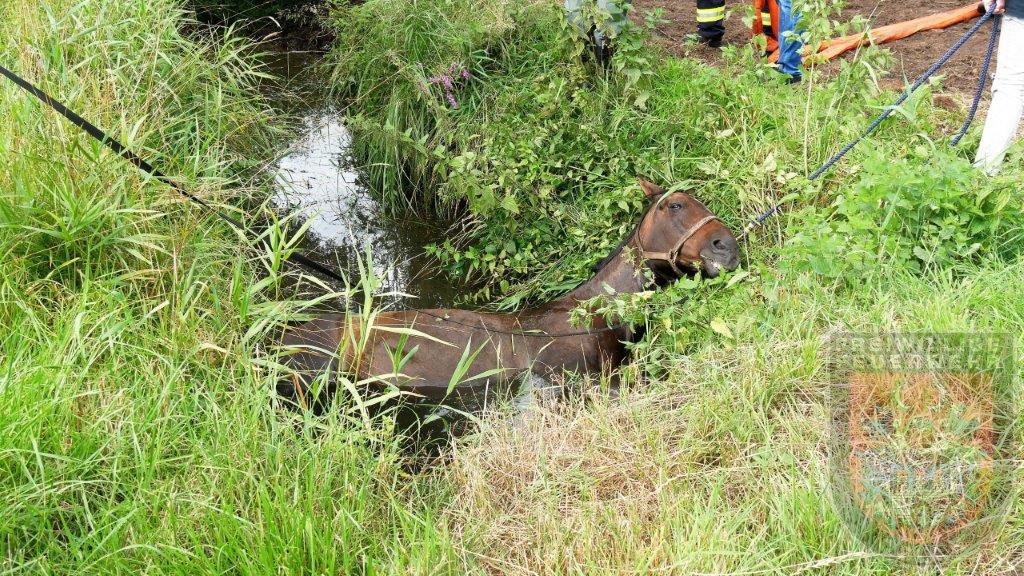 Feuerwehr Celle tweet media