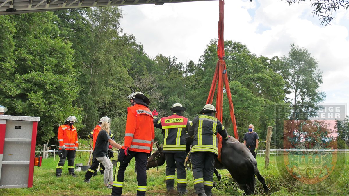 Feuerwehr Celle tweet media