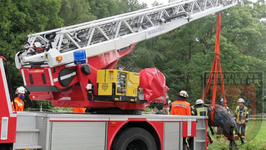 Erneute Pferderettung in Celle!

Am Montagmittag mussten wir erneut zu einer Pferderettung ausrücken. In Lachtehausen war ein Pferd in einen Graben gerutscht. Mit der DLK wurde das Tier gerettet. Mehr Infos unter:

feuerwehr-celle.de/einsatzbericht…