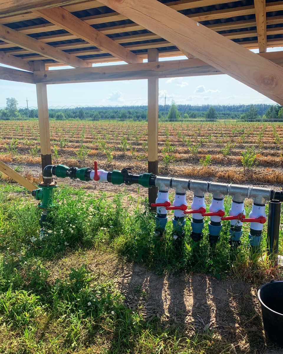 uaig_ua's tweet photo. The center of the irrigation system; the water meters.

#blackberry #raspberry #strawberry #strawberries #blueberries #plants #harvesting #advancedtechniques #blackberryfields #agriculture #agricultureproduction #farming #agricultureprocessing #foodmanufacturing #foodprocessing https://t.co/UXr9vHsCwc