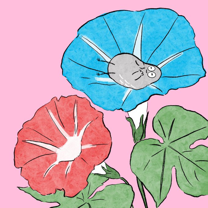 ゆるいらのtwitterイラスト検索結果 古い順