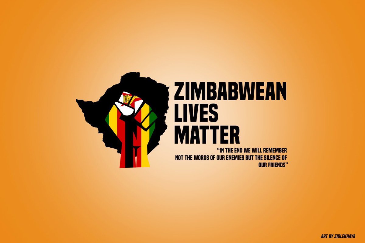 Share and RT for awareness!  #ZimbabweanLivesMatter  #FreeZimbabwe 