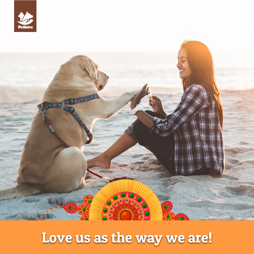 petsutra's tweet photo. Happy Raksha Bandhan to all our Pawsome Siblings! ๐งก๐ถ๐ฑ
#rakshabandhan #happyrakshabandhan #pets #dogs #petsutra #thinkpets #thinkpetsutra https://t.co/Jnk4KpXzez