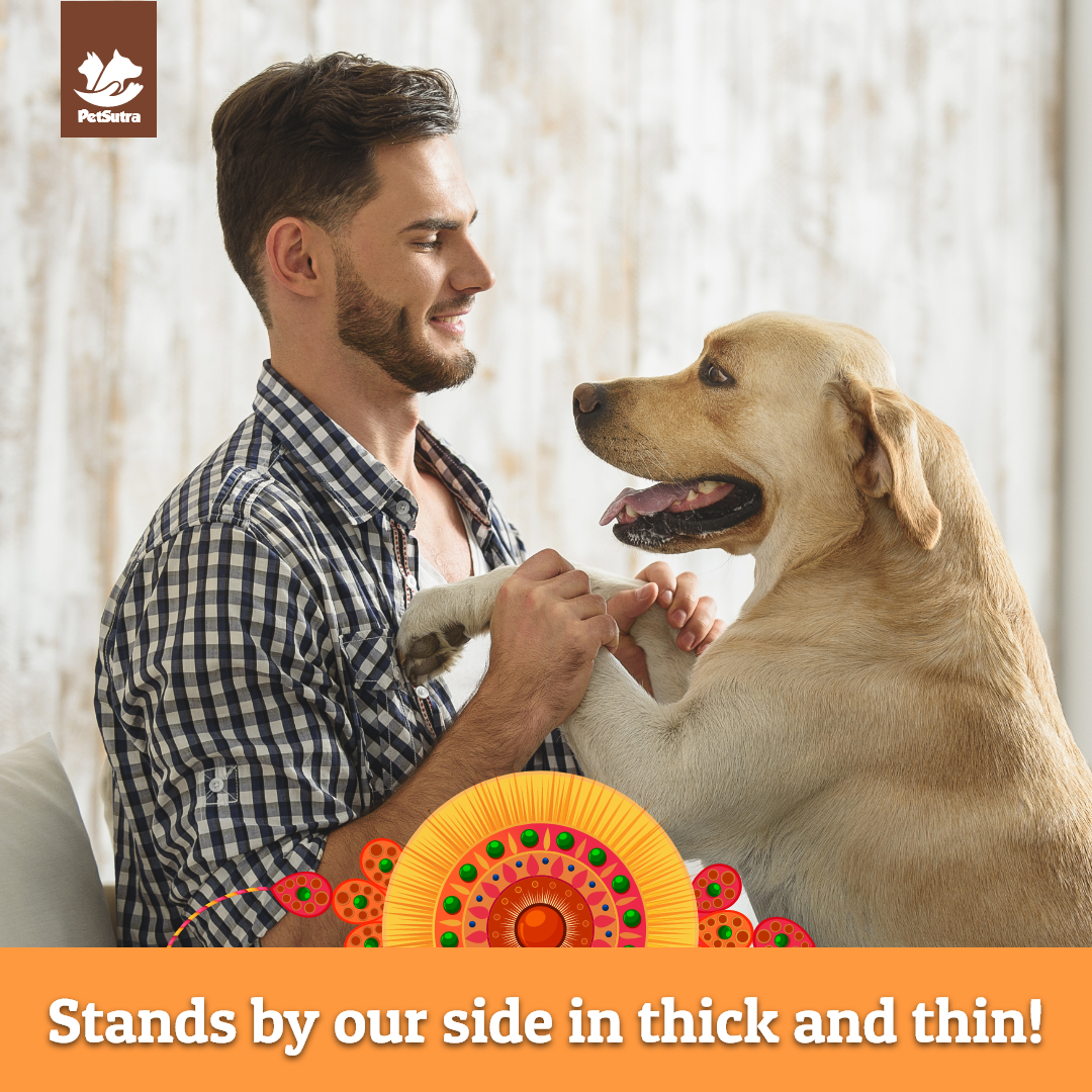 petsutra's tweet photo. Happy Raksha Bandhan to all our Pawsome Siblings! ๐งก๐ถ๐ฑ
#rakshabandhan #happyrakshabandhan #pets #dogs #petsutra #thinkpets #thinkpetsutra https://t.co/Jnk4KpXzez