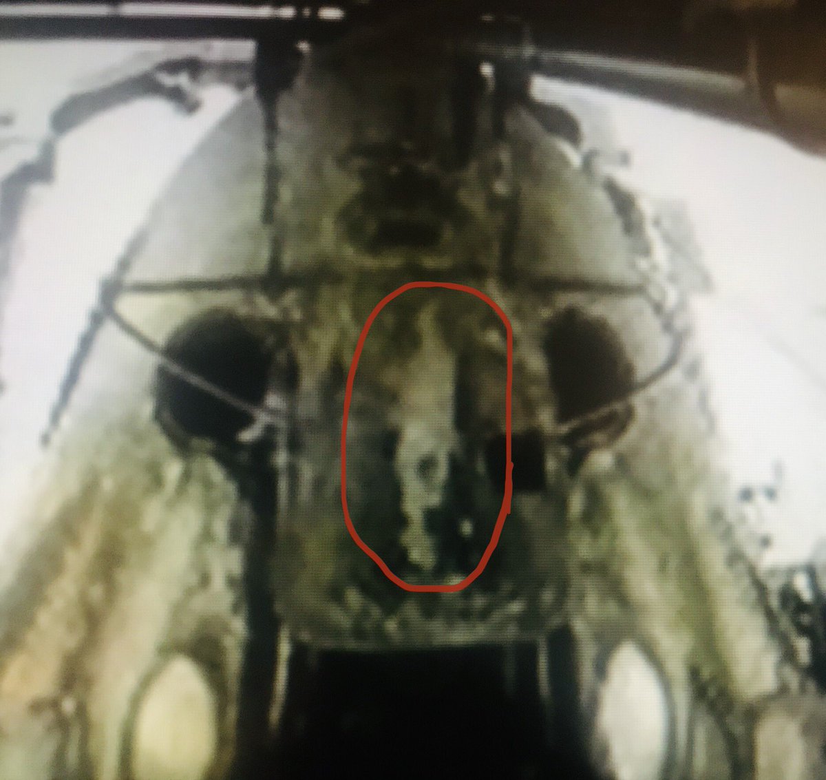 MCSmit00's tweet image. Is nobody else seeing the screaming face of the alien they crashed into on the way down? @SpaceX #SpaceX #CrewDragon