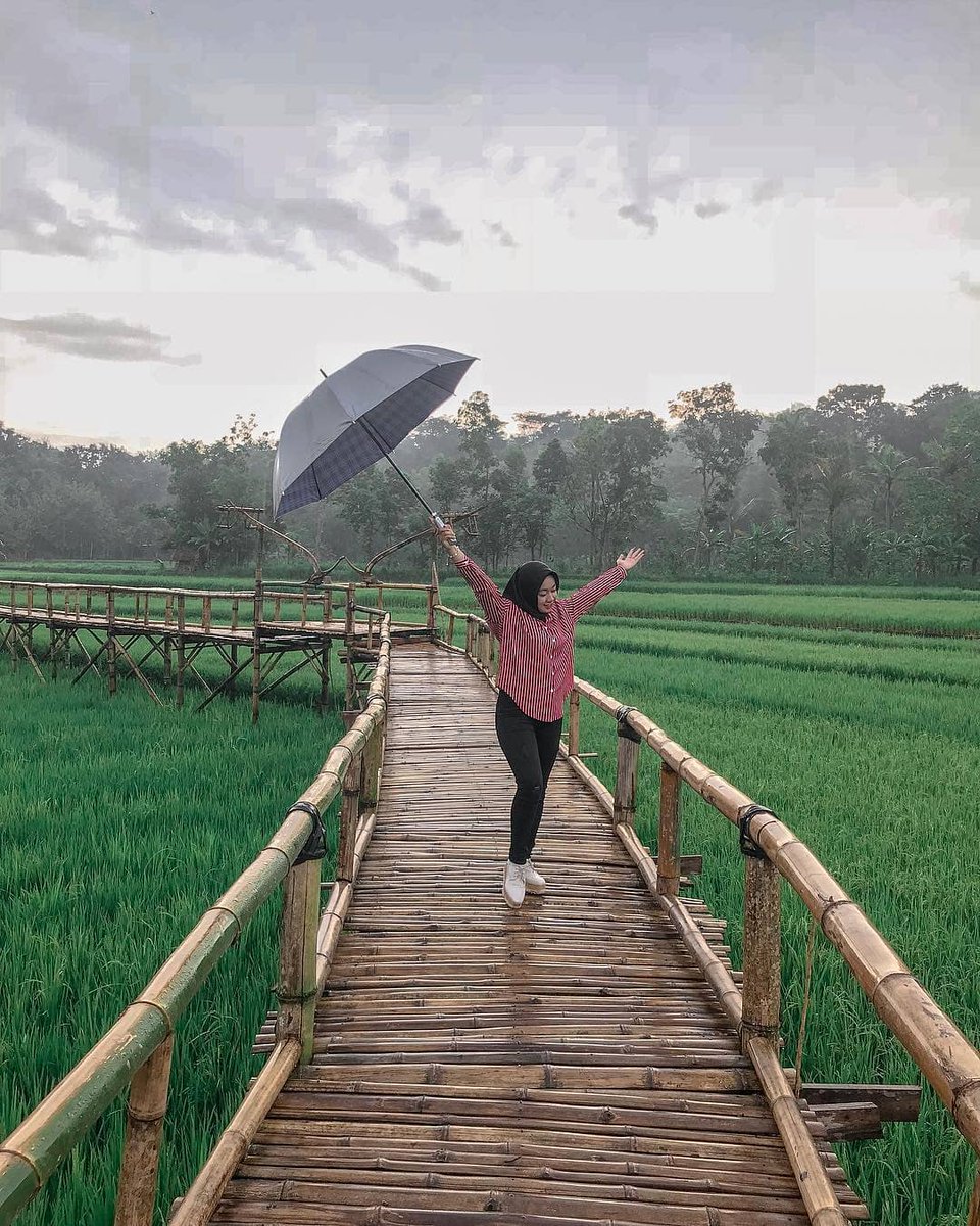 WONDERFULDLINGO's tweet photo. “Aku tidak sebaik apa yang kamu katakan, tapi aku tidak seburuk apa yang terlintas dihatimu” -Umar Bin Khatab-
.
Foto milik @nopitapdw
Repost by @nopitapdw .
.
. 🌏 Sawah sukorame , mangunan , dlingo , bantul , Yogyakarta
.
.
.#wonderfuldlingo #dlingo #dlingobantul #dlingokece https://t.co/Tg3oqb8foL
