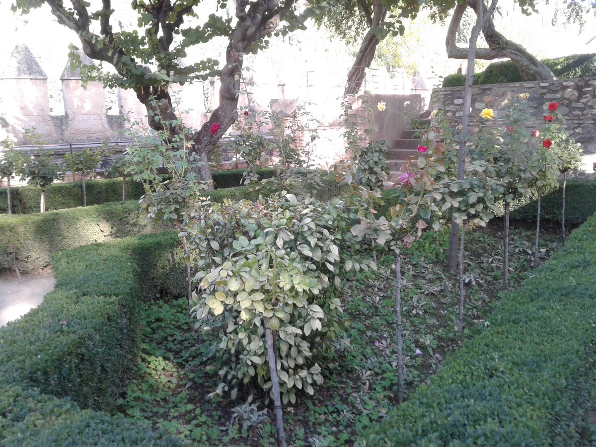 HassaneTraveler's tweet photo. Jardines y paseos del Conjunto Monumental de la @alhambracultura :
#Alhambra #PaseodelosCipreses #Secano #JardinesdeSanFrancisco.
#LaAlcazaba
#ElPartal #PórticodelPalacio #Rauda #PalaciodeYusufIII #PaseodelasTorres
#Generalife #JardinesBajos.
#LunesPatrimonio
#VuelveALaAlhambra https://t.co/2bsgXiUsKo
