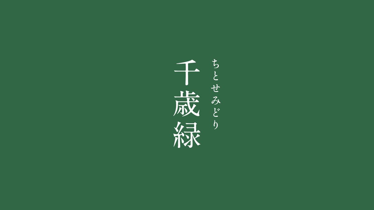 暦生活 こよみせいかつ 千歳緑 ちとせみどり にっぽんのいろ 深く渋い緑色 千歳 とは長い年月のことを指す言葉 です とても美しい大人の色ですね 8月の色まとめはこちらから T Co Rhk3klwbhw T Co 9ftbcr9w09 Twitter