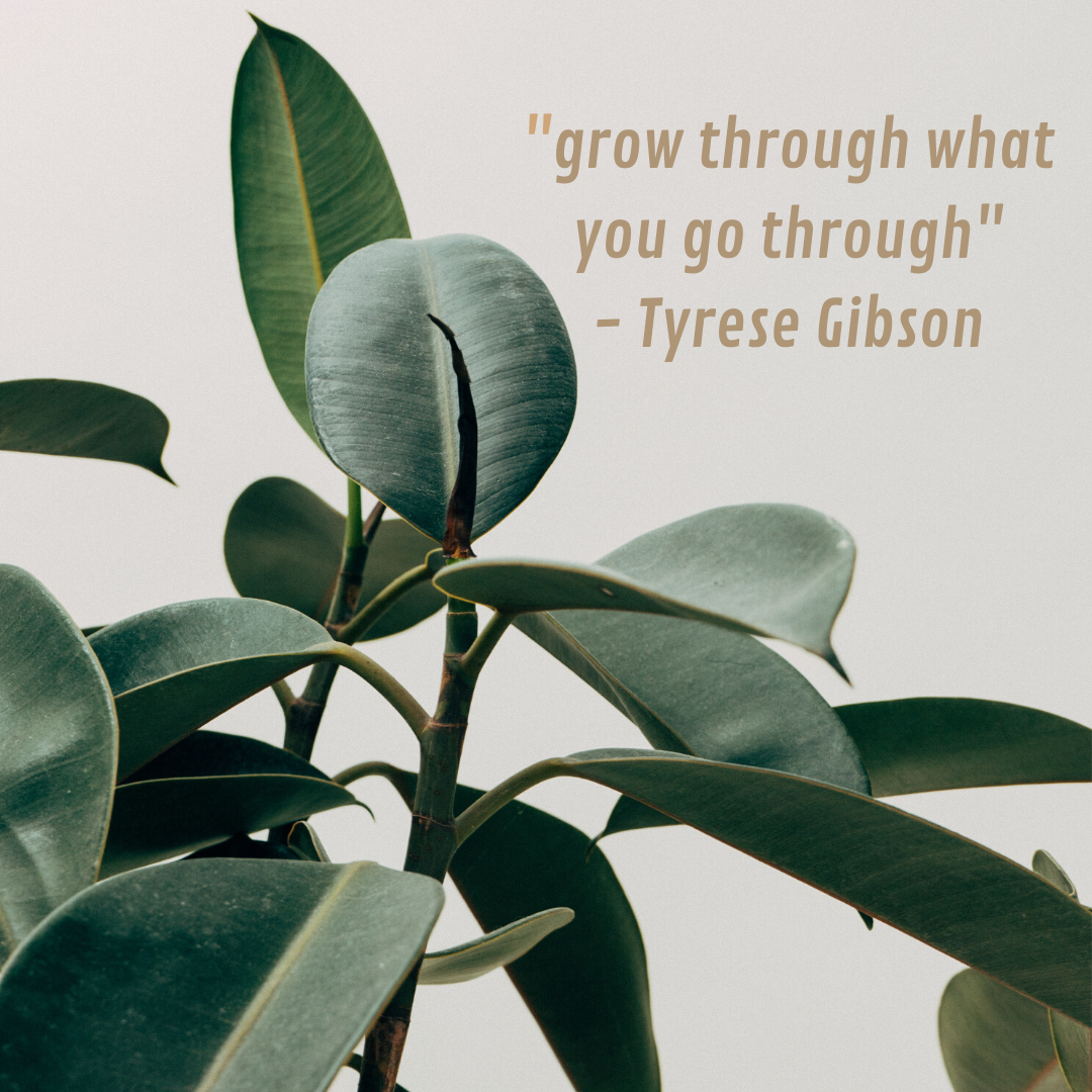 cc369__'s tweet photo. Learning and growth never stop in this journey of life. Take every success or failure as an opportunity to grow and become a better you.

#cecilecorreasays #livelifebeautifully #cchappydays #ccsays https://t.co/XhzBDYd3y1