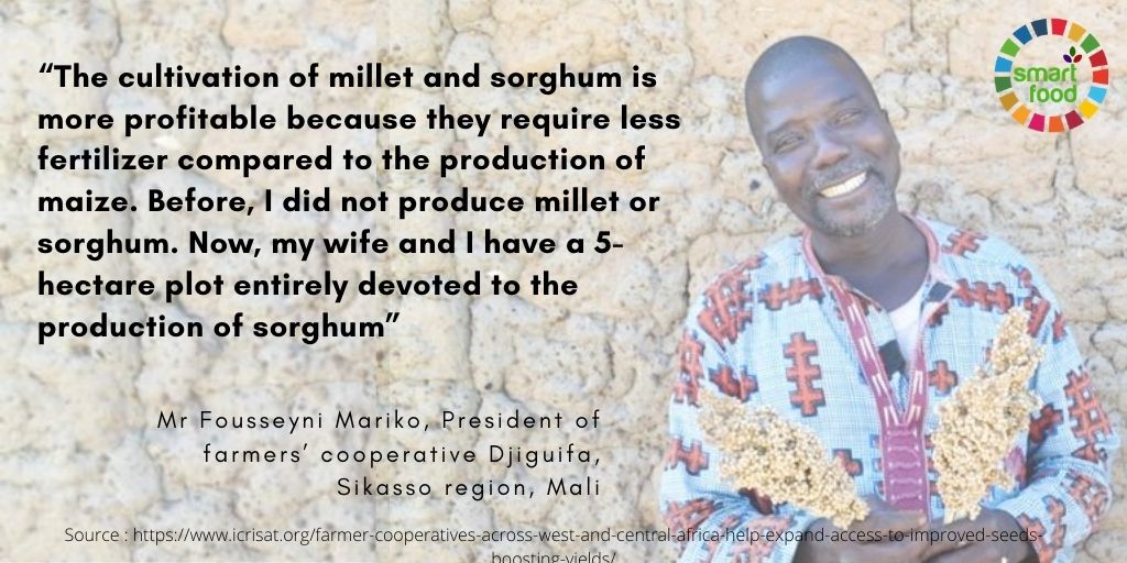 AfricaSeeds tweet media