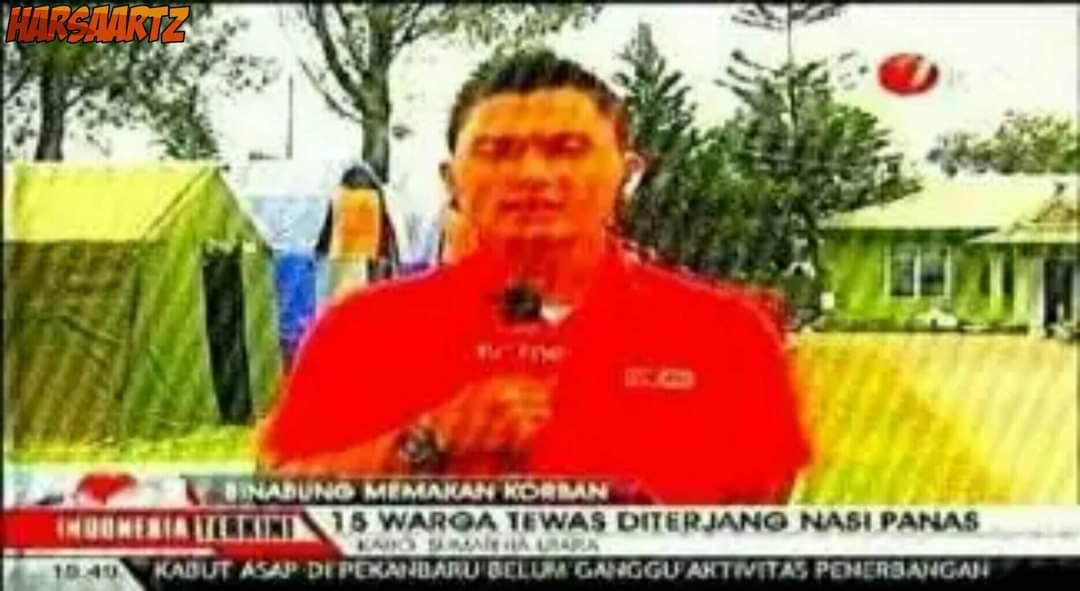 Kumpulan bug dalam berita TV.