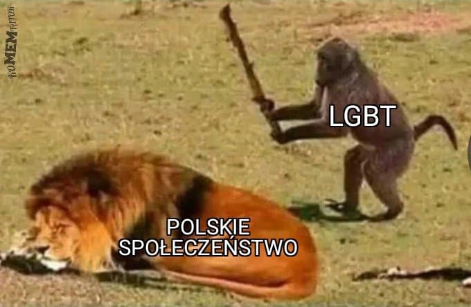 KamilZmudzki's tweet image. W punkt 💥
#stoplgbt #stoplgbtq #LGBTtoIdeologia #lgbtisbullshit