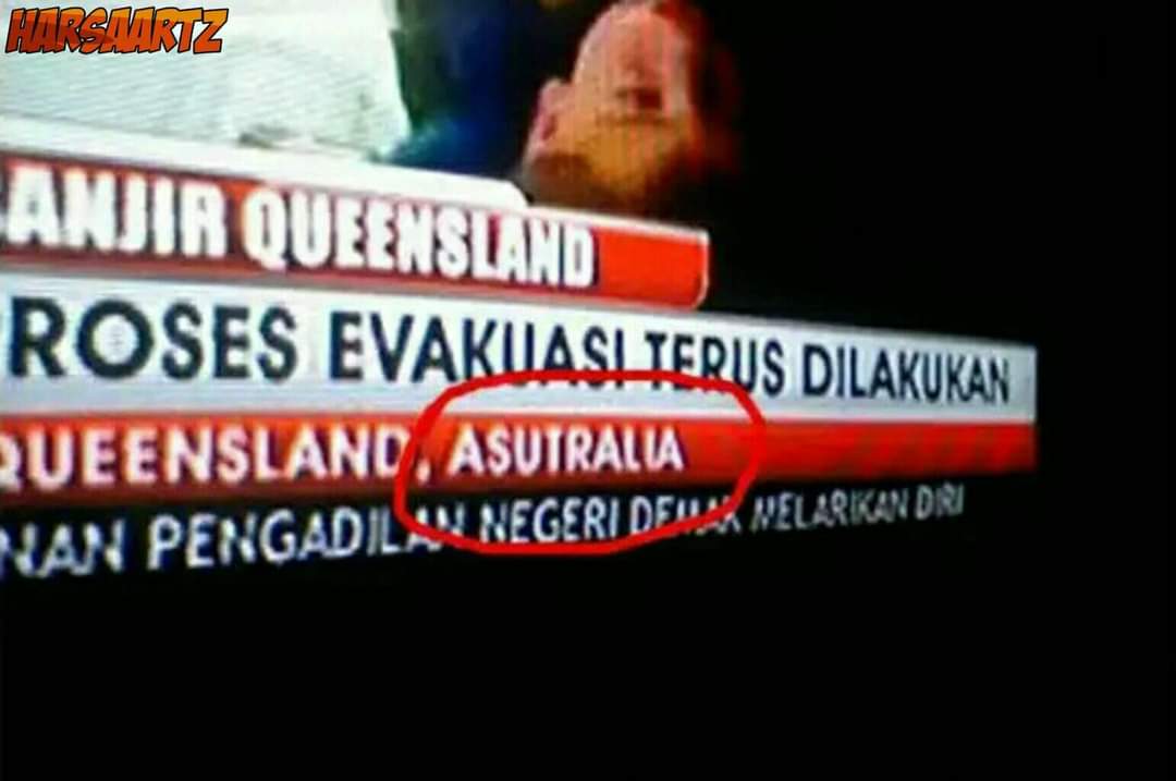 Kumpulan bug dalam berita TV.