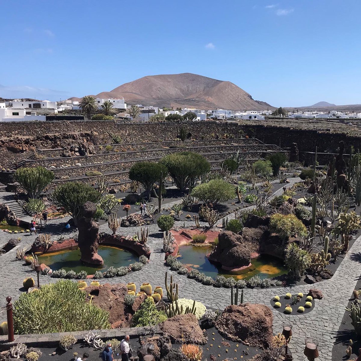 Heidi Plom tweet media