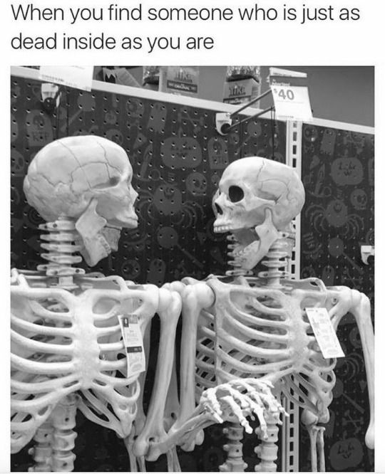 Well, you know I'm a skeleton enthusiast, but now I need your help.I'm in HUGE need of new memes with skeletons.Please bring here some memes/funny medieval pic/whatever 