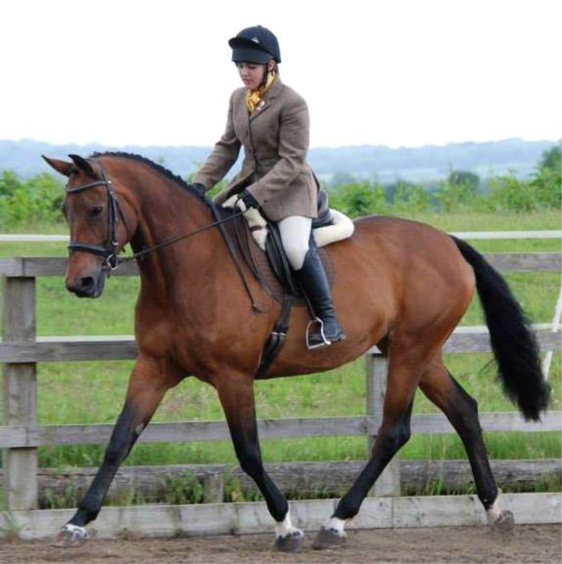 Thank you to everyone who supported our unaffiliated dressage competition.  Results can be viewed here. ow.ly/OKgZ50AP6Eg