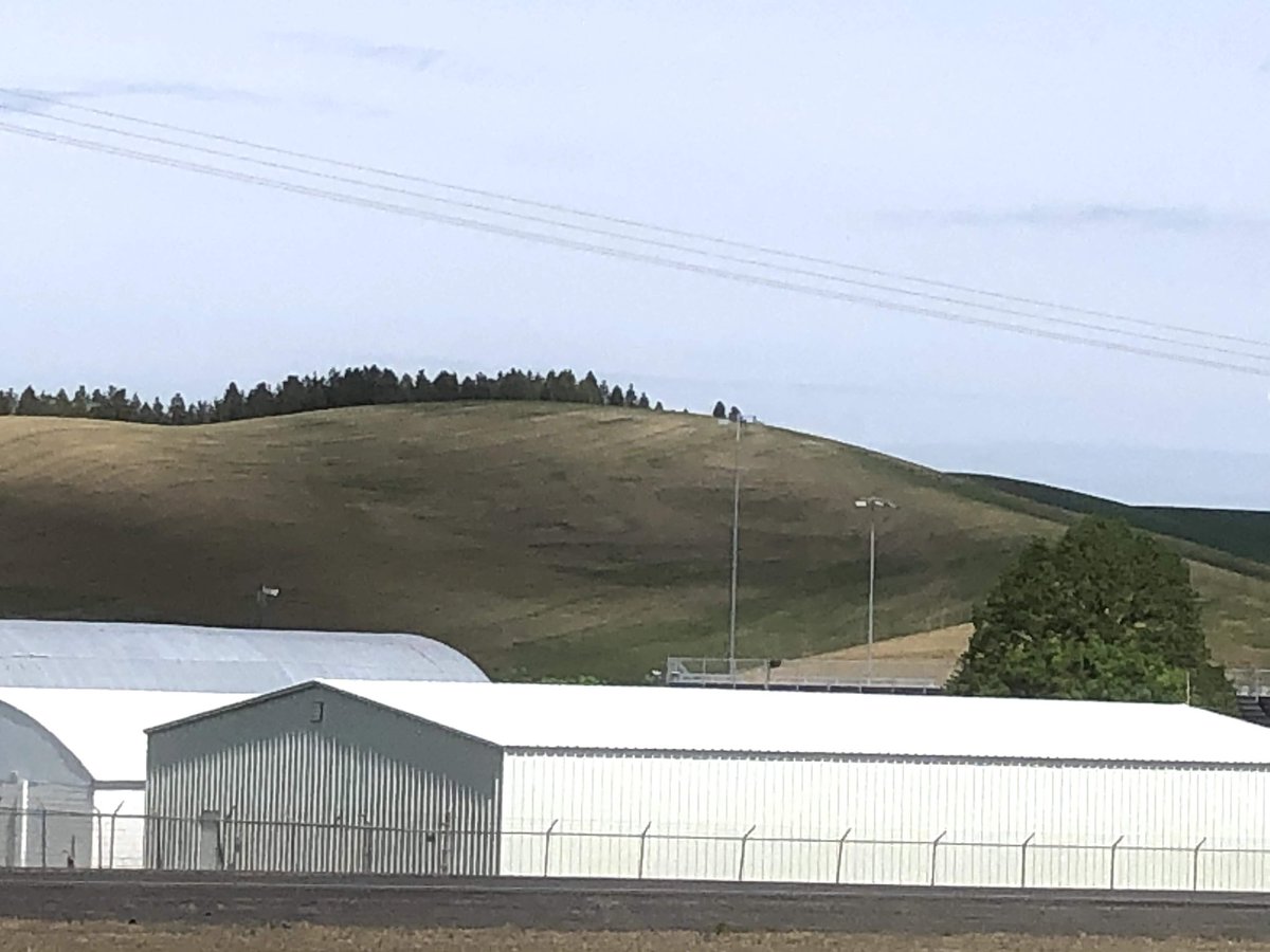 BohnhoffBrian's tweet photo. @rockormiston2 @TMC_Cat @Chiefs @PrecisionPlant @KSsorghum @PatrickMahomes Colfax, WA I seeded a Washington State Cougars logo into one of our hillsides with winter wheat. Spring wheat got seeded into it but could still see it for a while. https://t.co/KcEPipBnNj