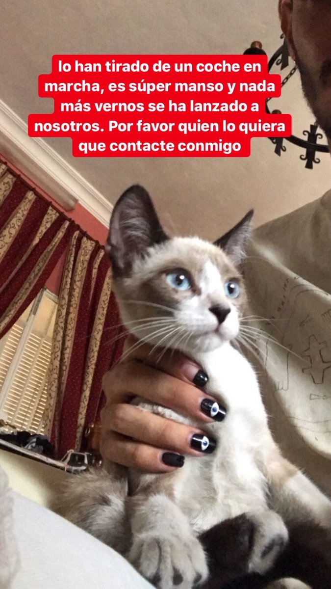 juanito tweet media