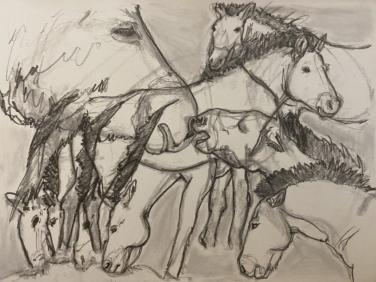 Przewalski’s horse. 2020, graphite, charcoal, and conte crayon on Bristol paper, 8” x 10”.