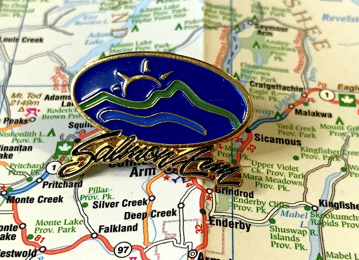 122. SALMON ARM- This is a logo for a car company, not a flag for a city- tails on the A and M in "Arm" are VERY aggressive- this is better than their flag, but it's still very strange for a pin