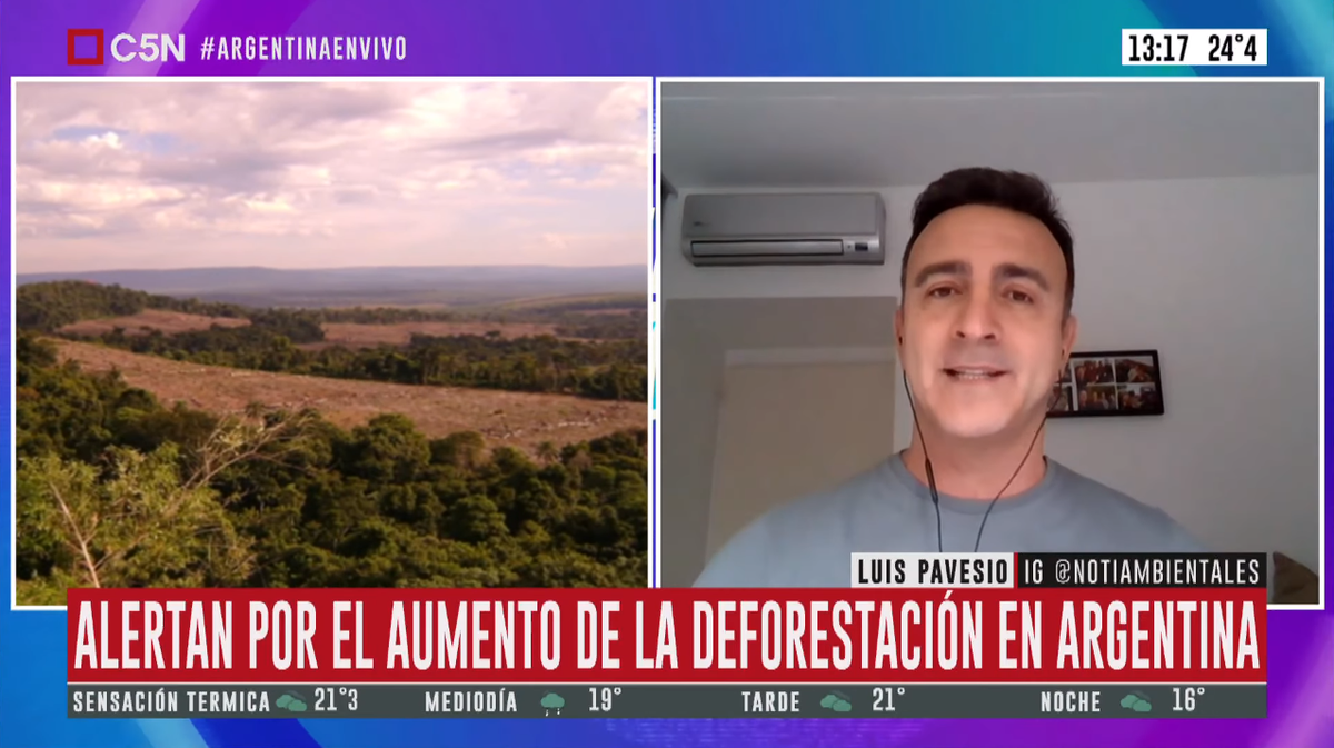 🍃 Aumentó la deforestación en Argentina: perdió 21.000 hectáreas durante estos meses. 

<a href="/pavesioluis/">Luis Pavesio</a>, director de Noticias Ambientales, dialogó sobre esta problemática con <a href="/Abilassalle/">Abigail Lassalle</a> en <a href="/C5N/">C5N</a> → youtu.be/ub7O56xDGl8