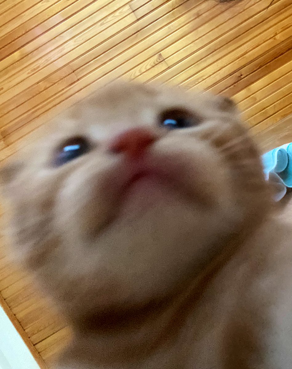 Birileri kendini çekmiş