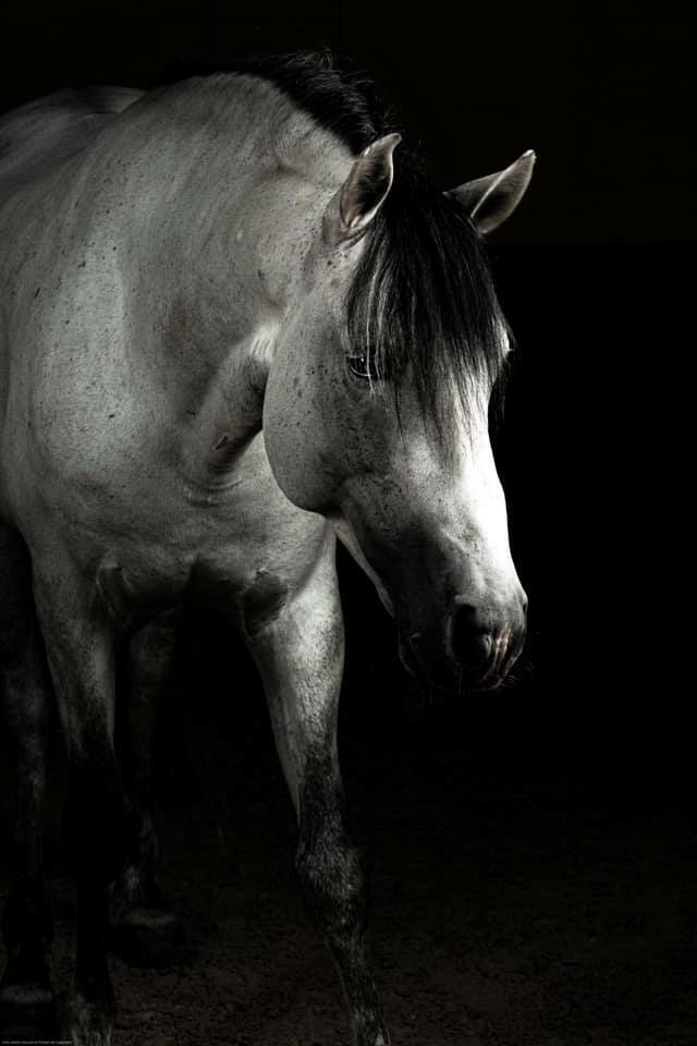 Andrea Grassi (@andrea_grassi) on Twitter photo 