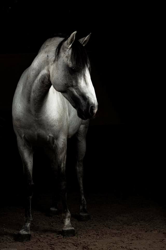 Andrea Grassi (@andrea_grassi) on Twitter photo 