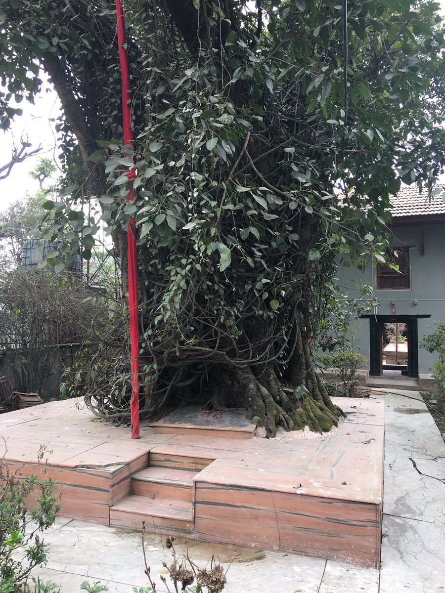 1. Pracheen Udasi Shree Guru Nanak MuthA large chunk of land donated by the King Jay Jagat Malla to Guruji, including this asthan which is housing a Pipel tree that Mahraj is believed to have meditated under for few months. Housing a pathar shap Mahraj saroop.