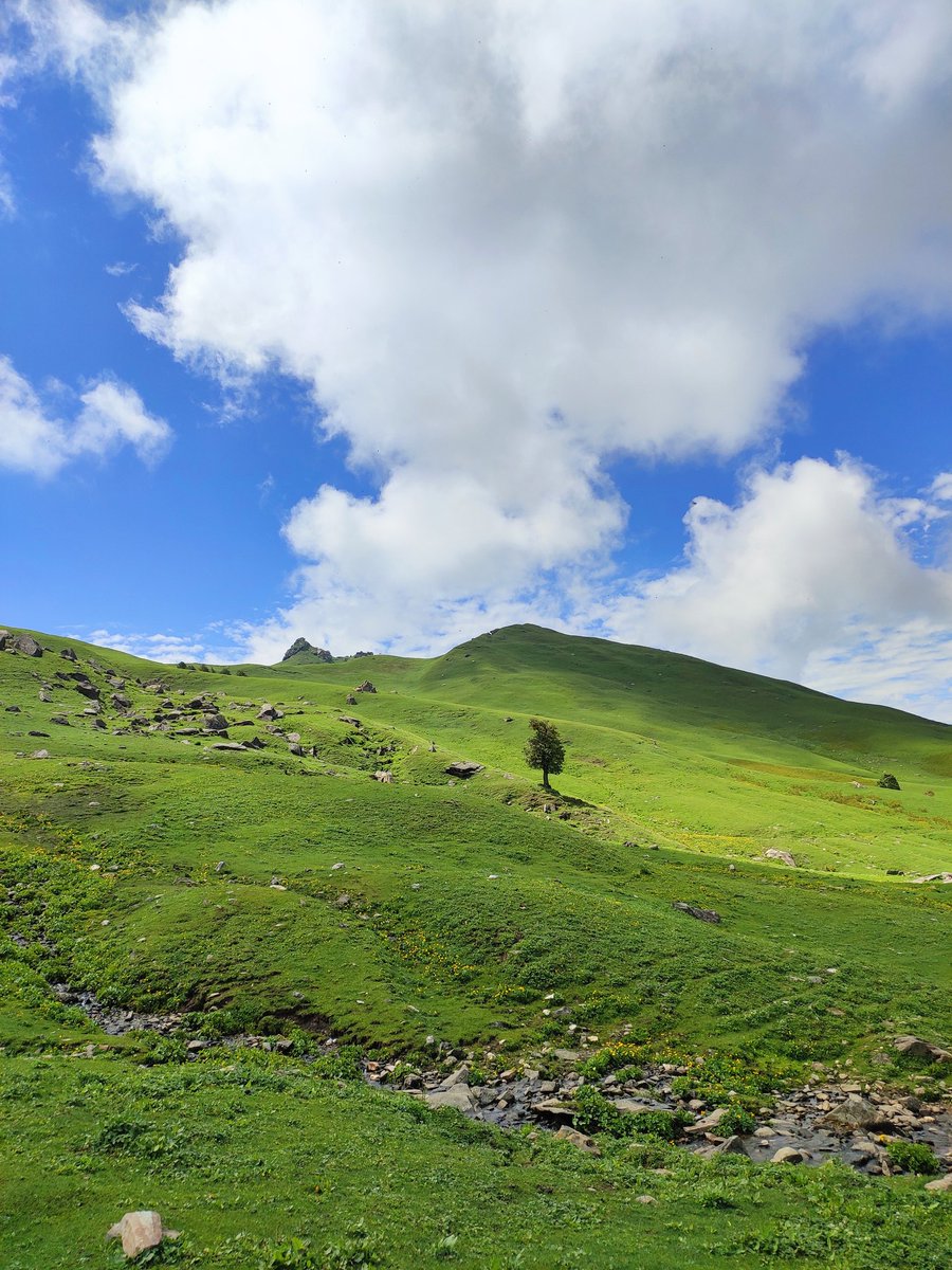 In lap of Pir Panjal.
On the way to panduropa.
#slackerdrone #ecotourism #himalayas #himalayangeographic #kullumanaliheavenonearth #manali #himachal #bhrigulake #kullumanali