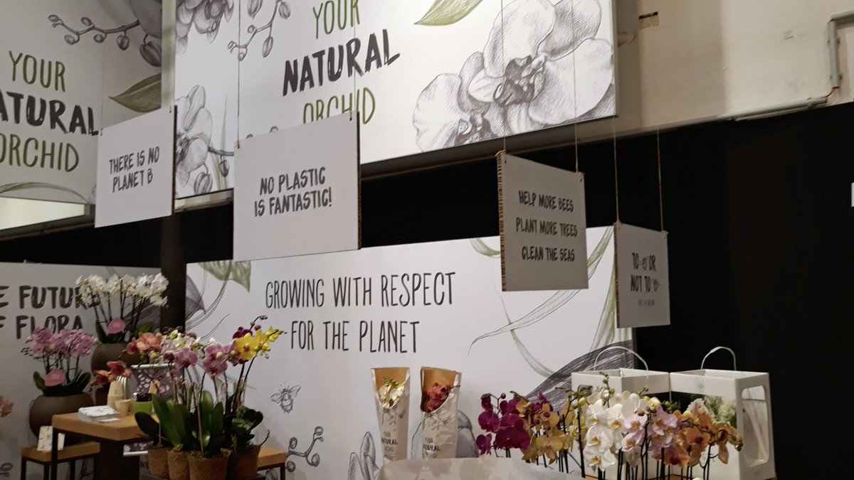 VACATURE - Wij zijn op zoek naar een enthousiaste marketing medewerker! Kom jij ons team versterken? Of ken jij iemand waarvoor dit de ideale functie is? stolkflora.nl/nl/vacatures/e…