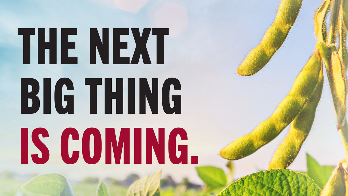 RRXtend's tweet photo. Are you ready? 
#XFsoy #ExpectedSoon https://t.co/SuhjqsrY8c