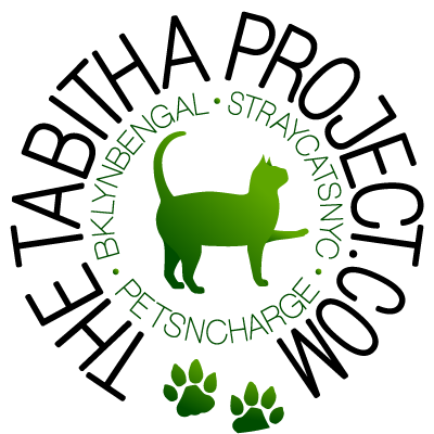 projecttabitha's tweet photo. #NewProfilePic https://t.co/7HkvKde5C2