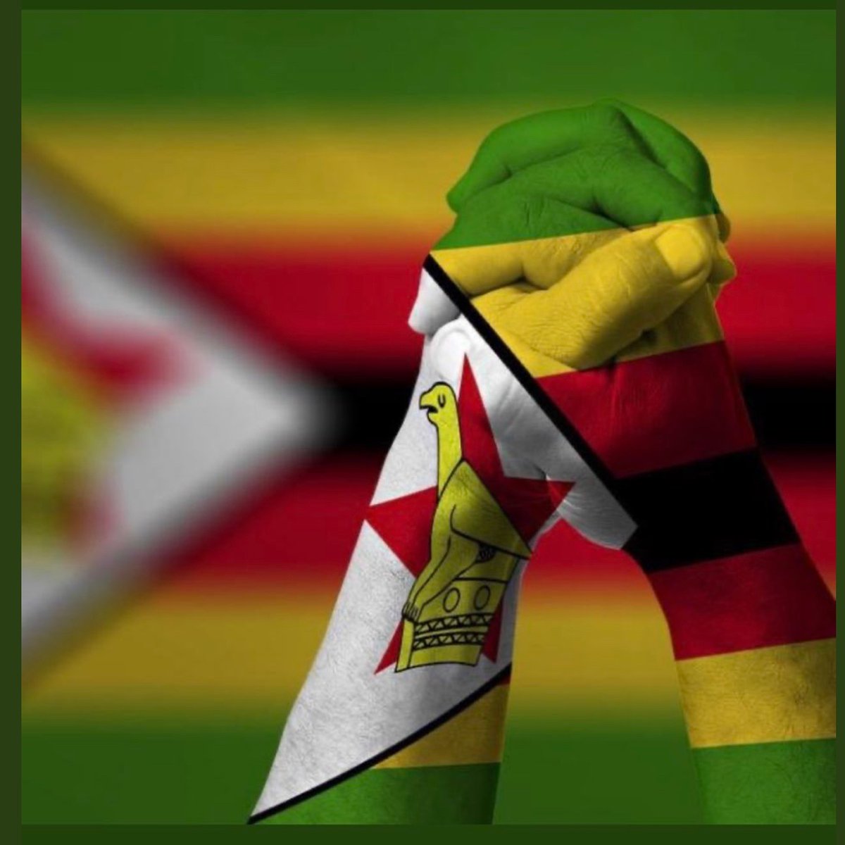 Boity's tweet photo. I STAND WITH ZIMBABWE!!!!! 🇿🇼🇿🇼🇿🇼🇿🇼🇿🇼✊🏾✊🏾✊🏾✊🏾✊🏾🙏🏾🙏🏾🙏🏾🙏🏾 #ZimbabweanLivesMatter #FreeZimbabwe https://t.co/NCYFkEcTMB