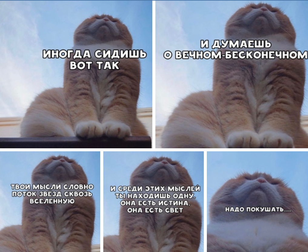 Вот сижу и думаю